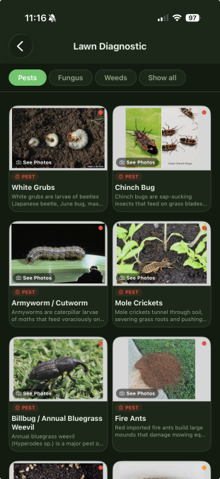 Lawn Dominators diagnostic screen showing pest identification cards for grubs, chinch bugs, armyworms, mole crickets, fire ants, and billbugs.
